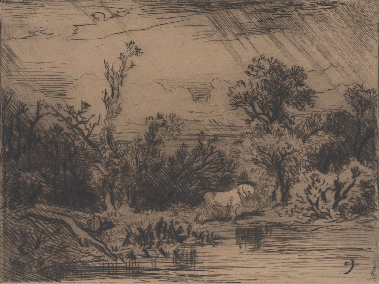 Krajina s bouřkou, 1848. od Charles Emile Jacque