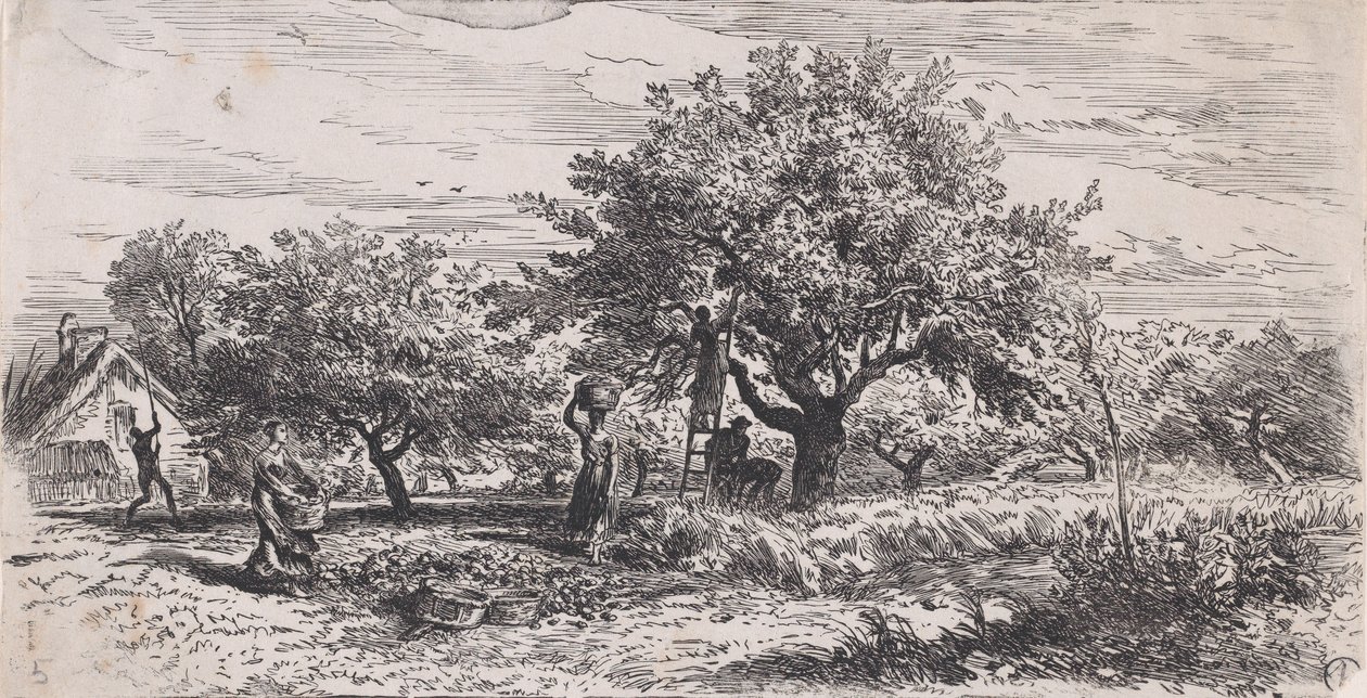 Sbírání ovoce ze stromu před chatou, ca. 1852. od Charles Emile Jacque