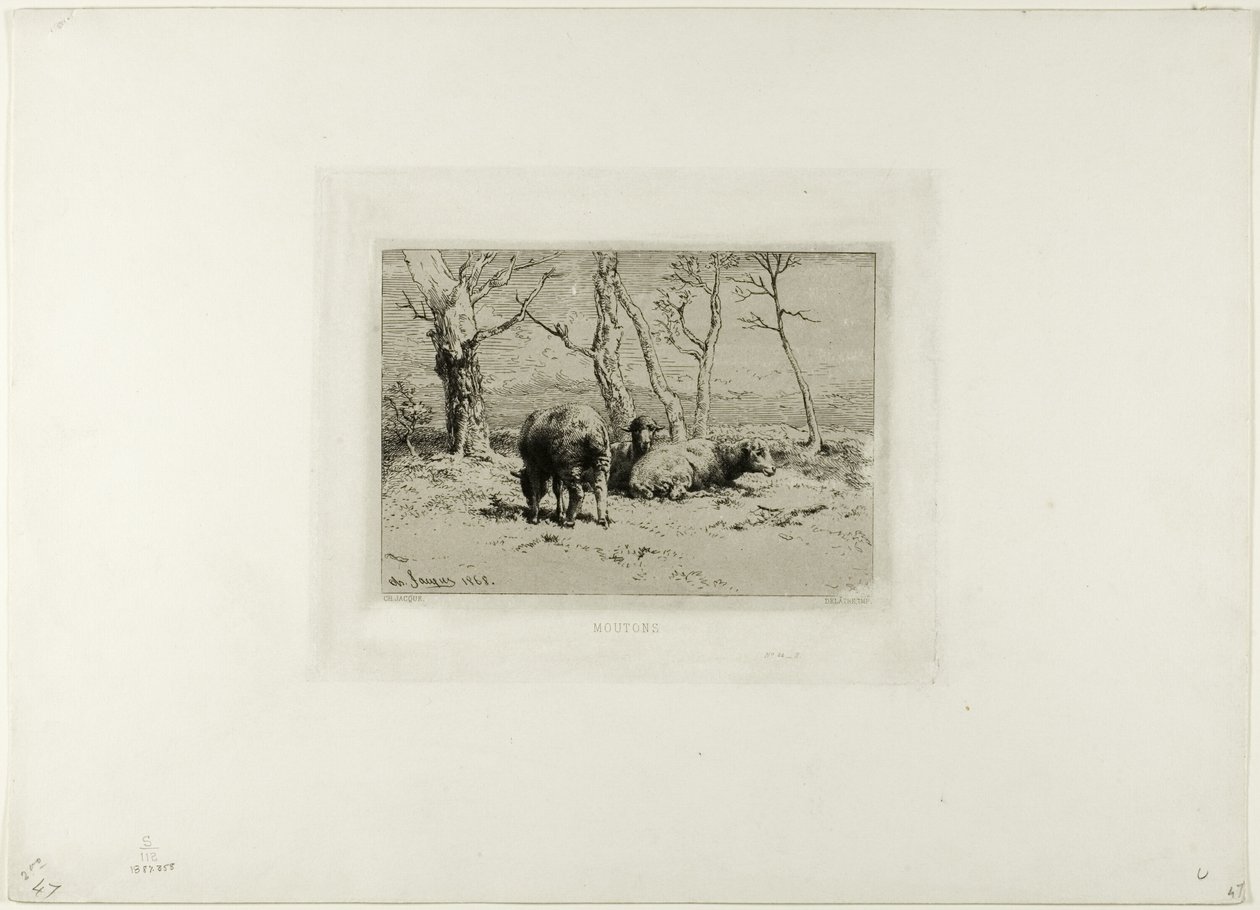 Ovce od Charles Emile Jacque
