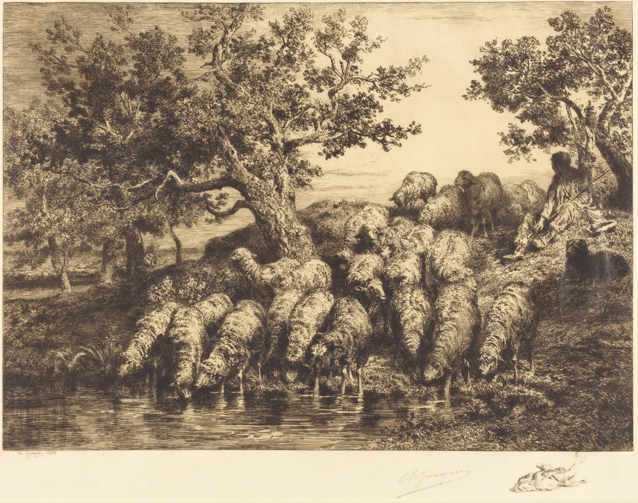 Ovce u napajedla od Charles Emile Jacque