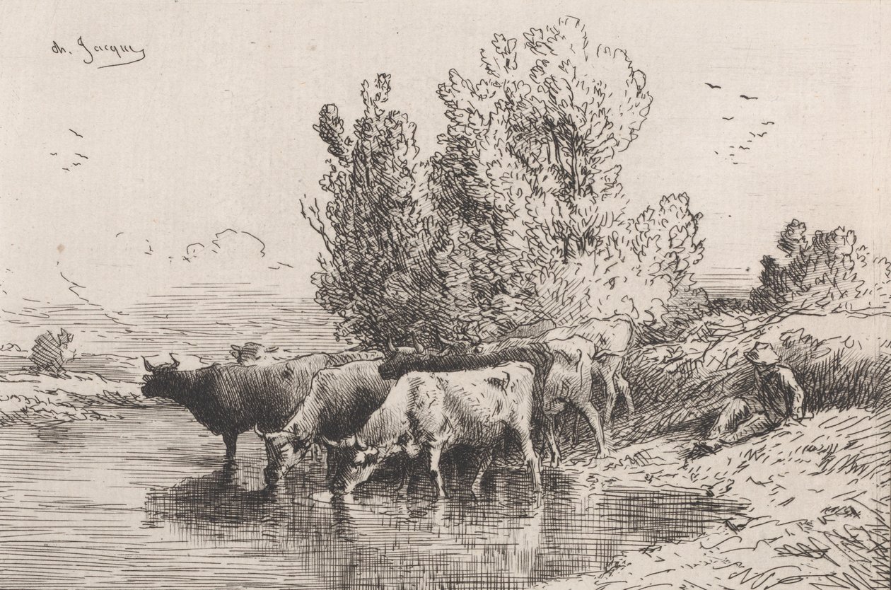 Koryto, 1864. od Charles Emile Jacque