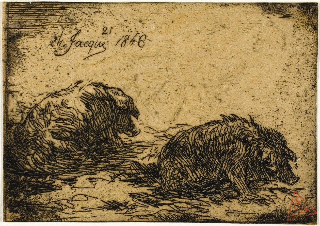 Dvě prasata vleže od Charles Emile Jacque