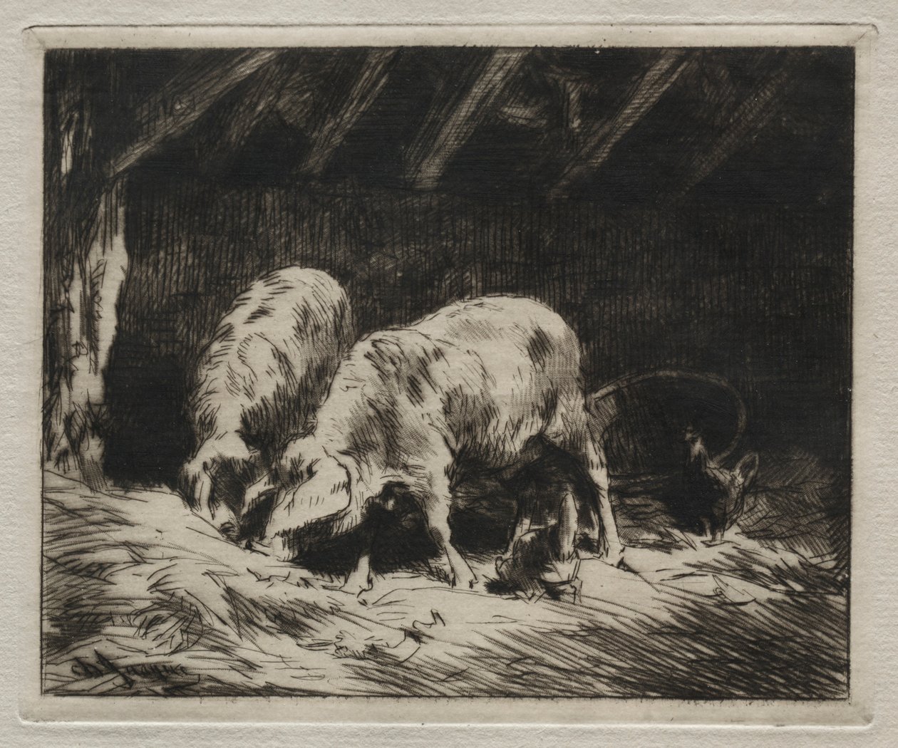 Dva vepřové. od Charles Emile Jacque