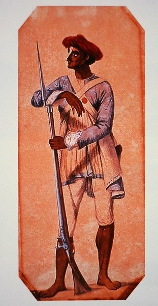 Voják Tipu Sultan, sultán z Mysore, vyzbrojený křesadlovou mušketou (barva litho) od Charles Emilius (after) Gold