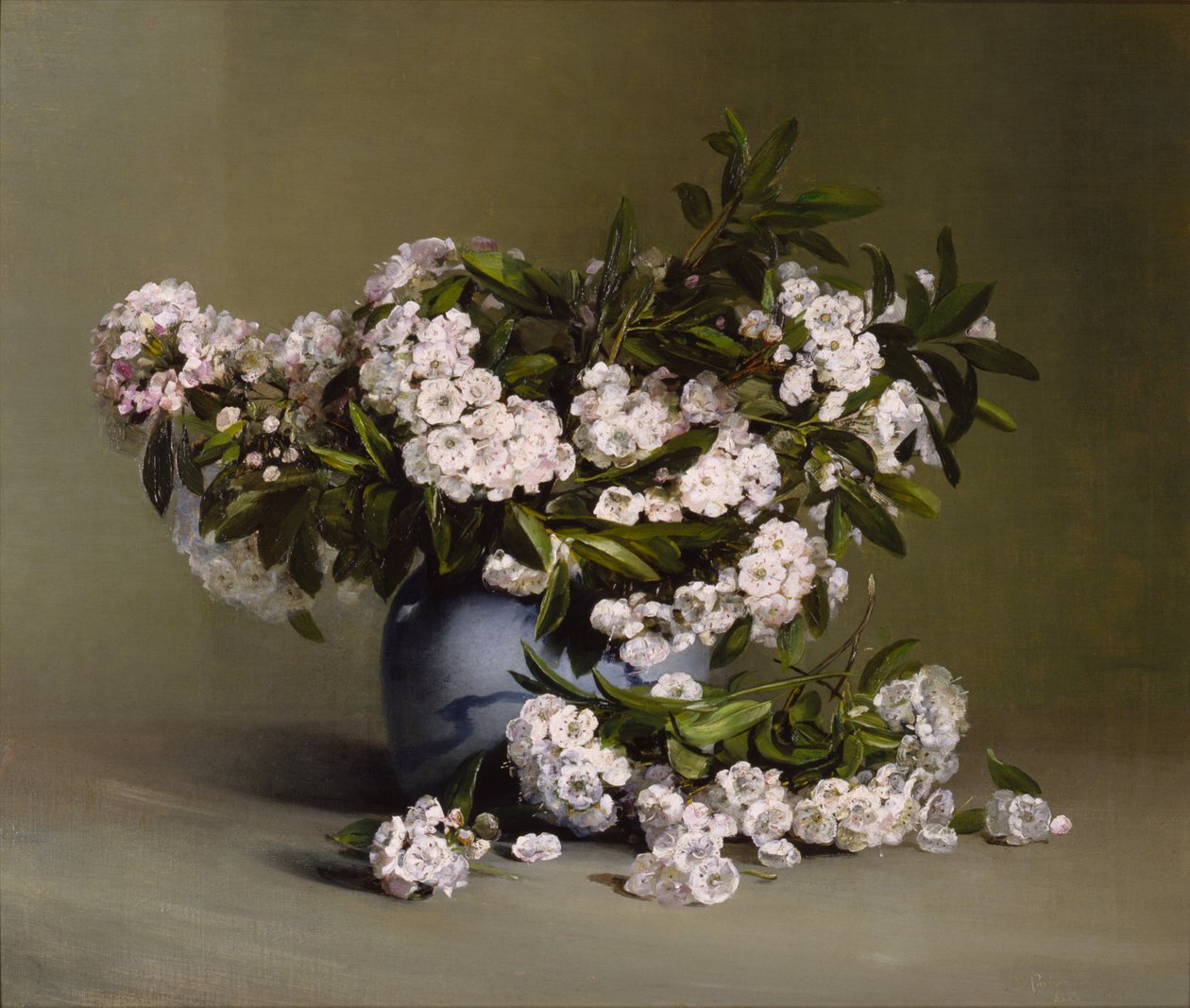 Mountain Laurel od Charles Ethan Porter