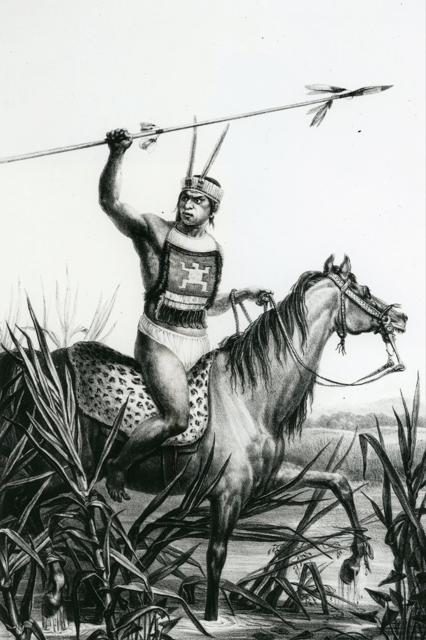 Náčelník kmene Charruas z "Pitoresque and Historical trip to Brazil" od Jeana Baptisty Debreta, 1834. od Charles Etienne Pierre Motte