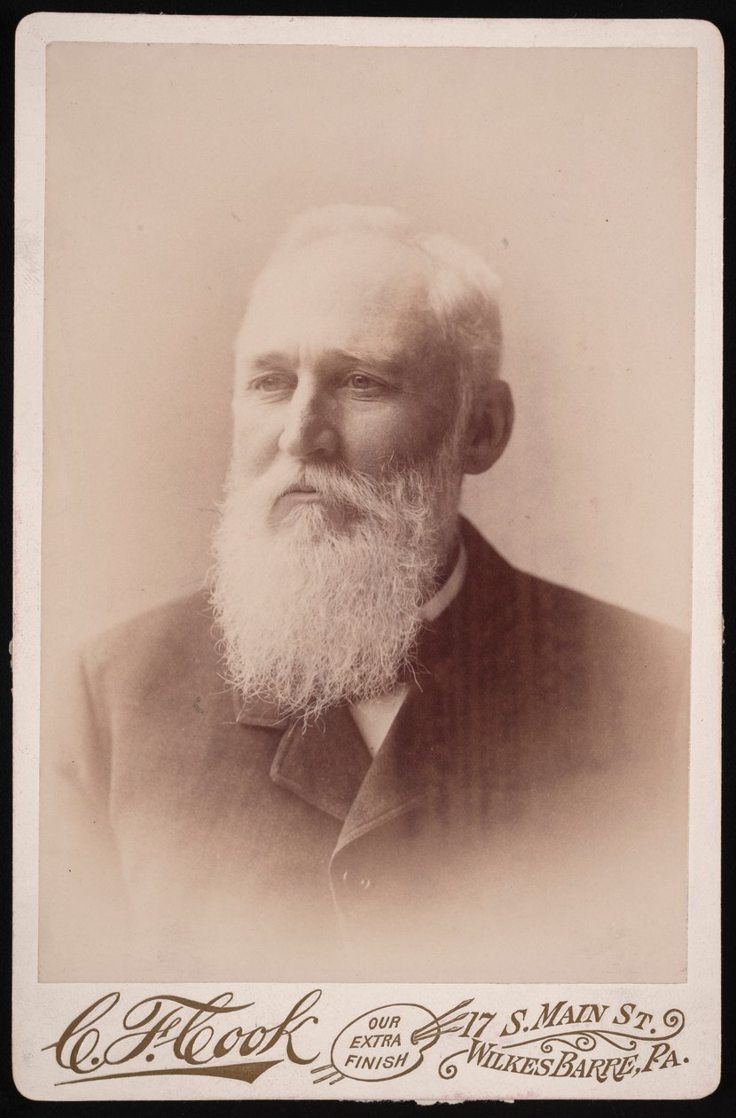 Portrét Henryho Blackmana Plumba 1829-1921, před rokem 1894. od Charles F Cook