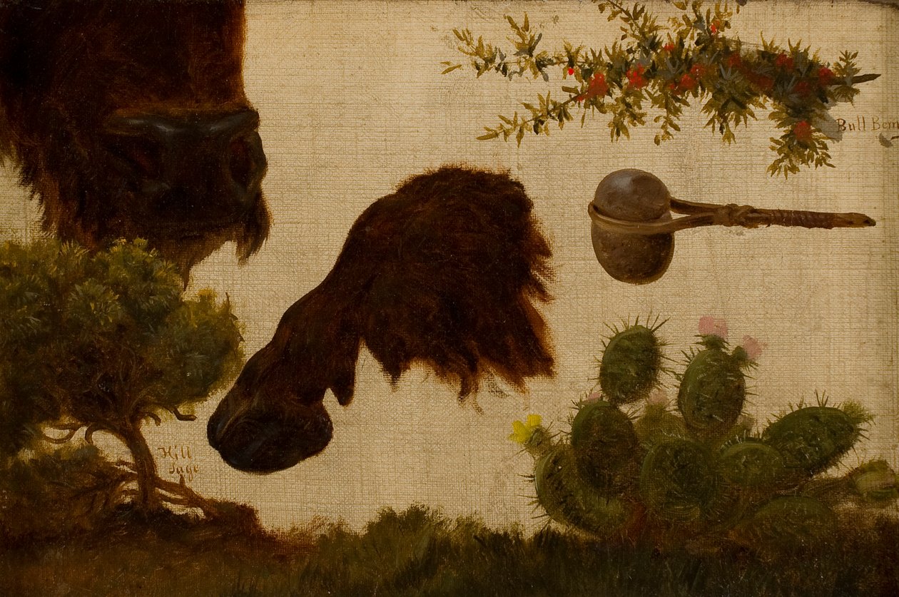 Studie pro „The Wounded Buffalo“: šalvěj horská, buvolí hlava a kopyto, býčí bobule, kamenná sekera a kaktus… od Charles Ferdinand Wimar