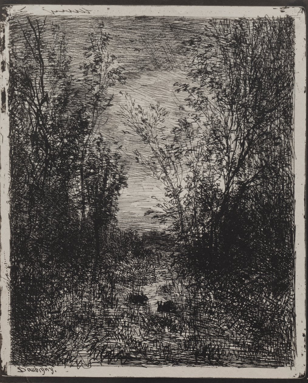 Proud na mýtině od Charles Francois Daubigny