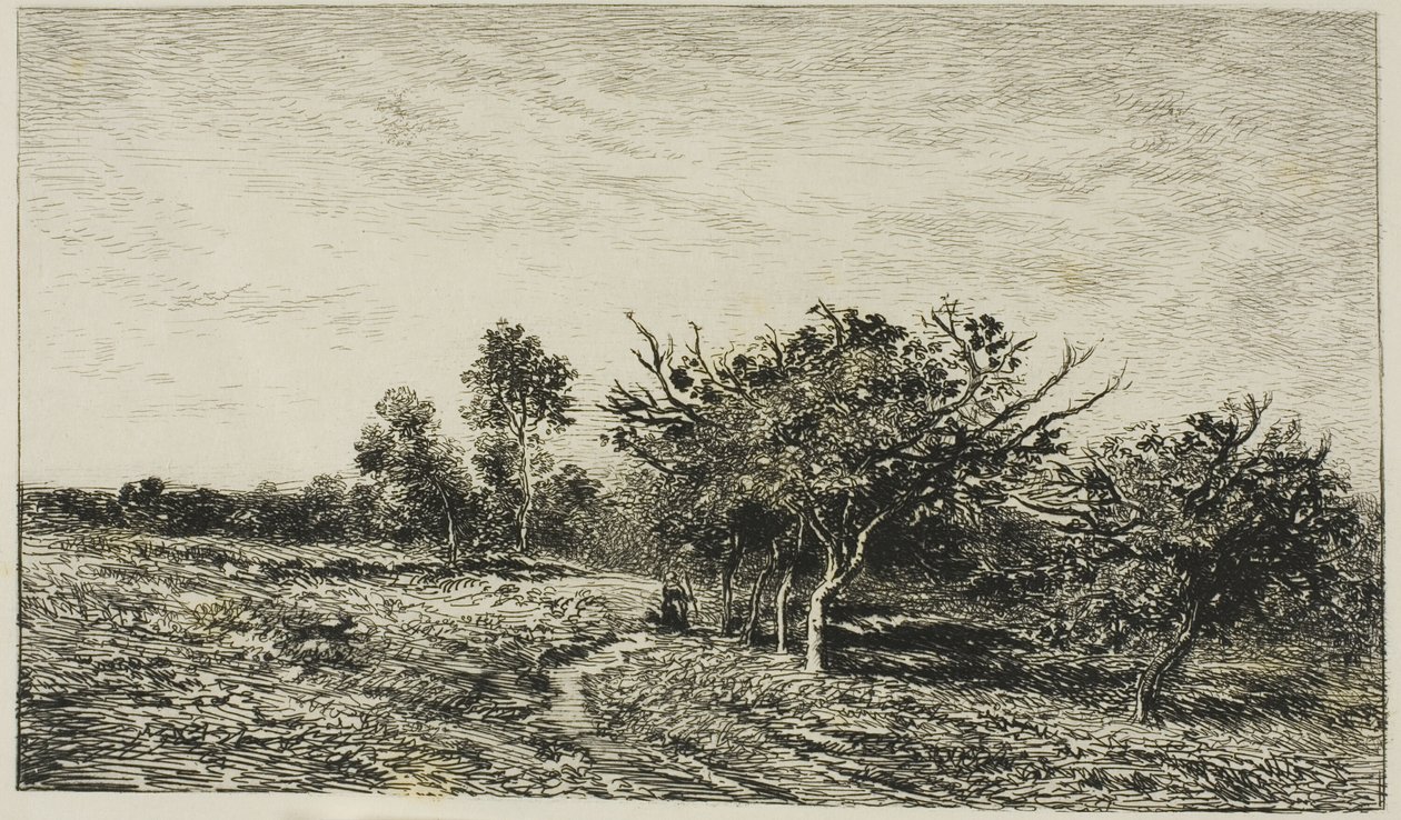 Jabloně v Auvers od Charles Francois Daubigny