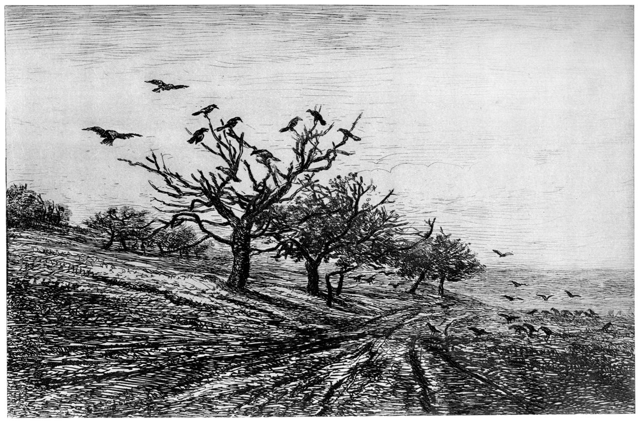 Raven Tree, 1840-1875, 1924 od Charles Francois Daubigny