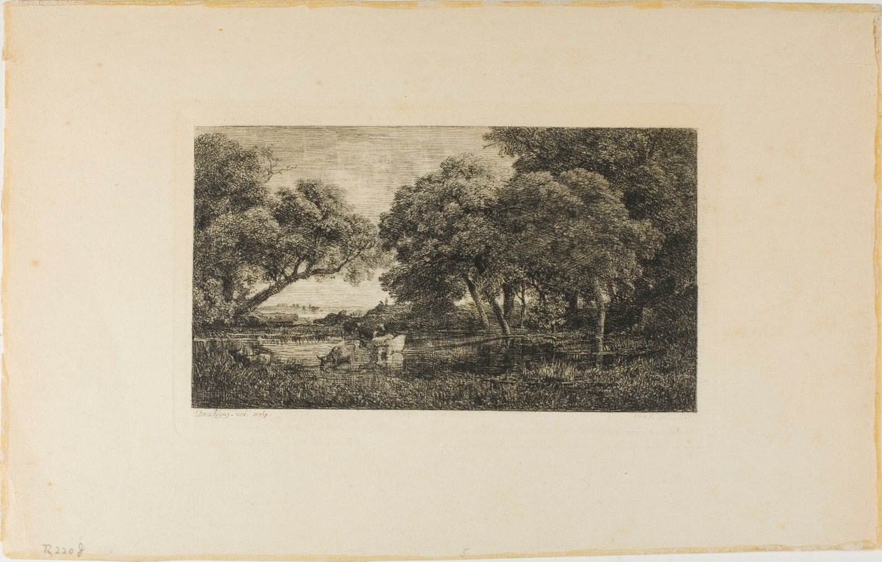 Dobytek u bazénu od Charles Francois Daubigny