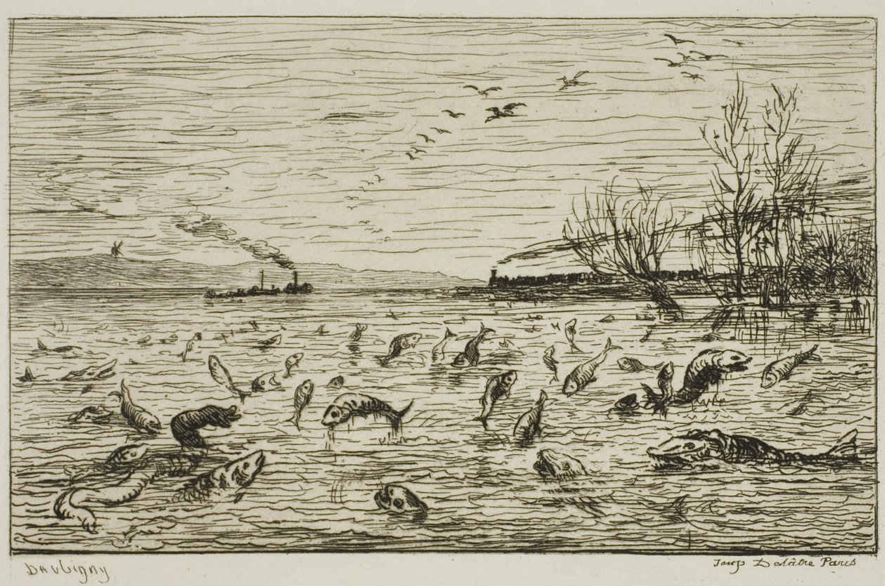 Oslava ryb při odjezdu lodního chlapce (Ryba) od Charles Francois Daubigny