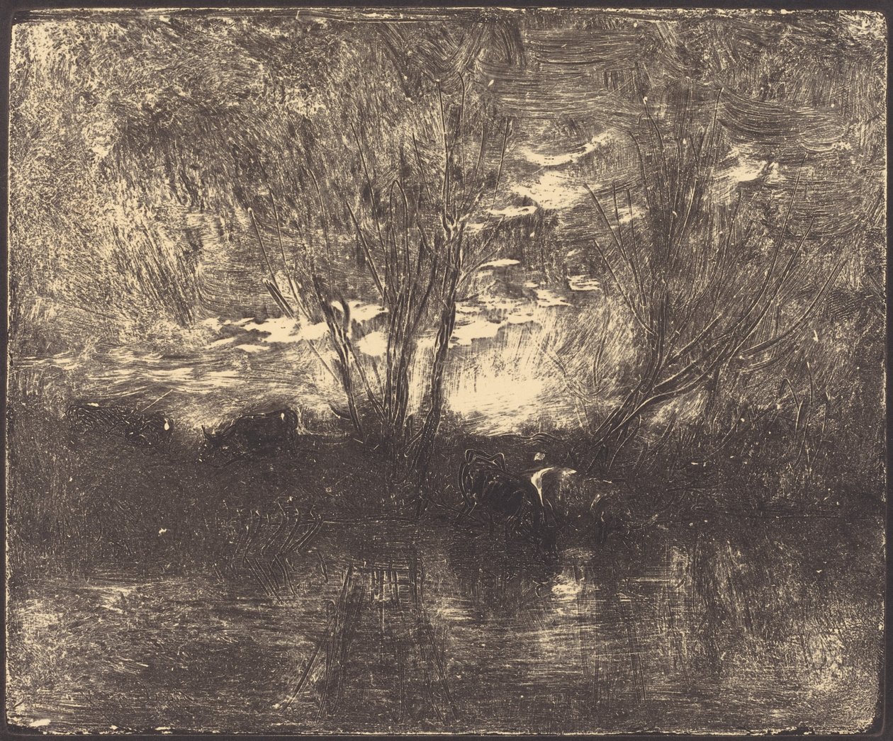 Krávy na napajedla od Charles Francois Daubigny