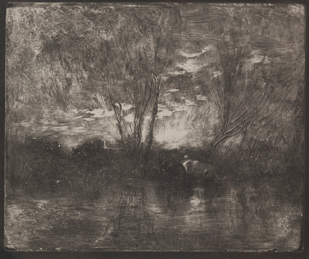 Krávy na napáječce, původní otisk 1862, vytištěno v roce 1921. od Charles Francois Daubigny