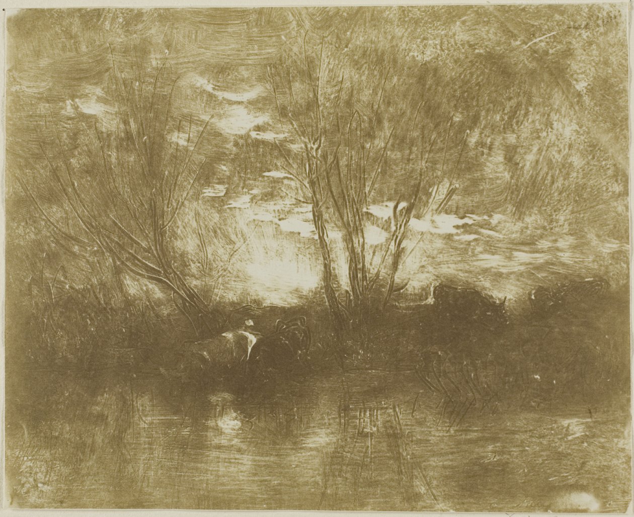 Krávy u napajedla od Charles Francois Daubigny