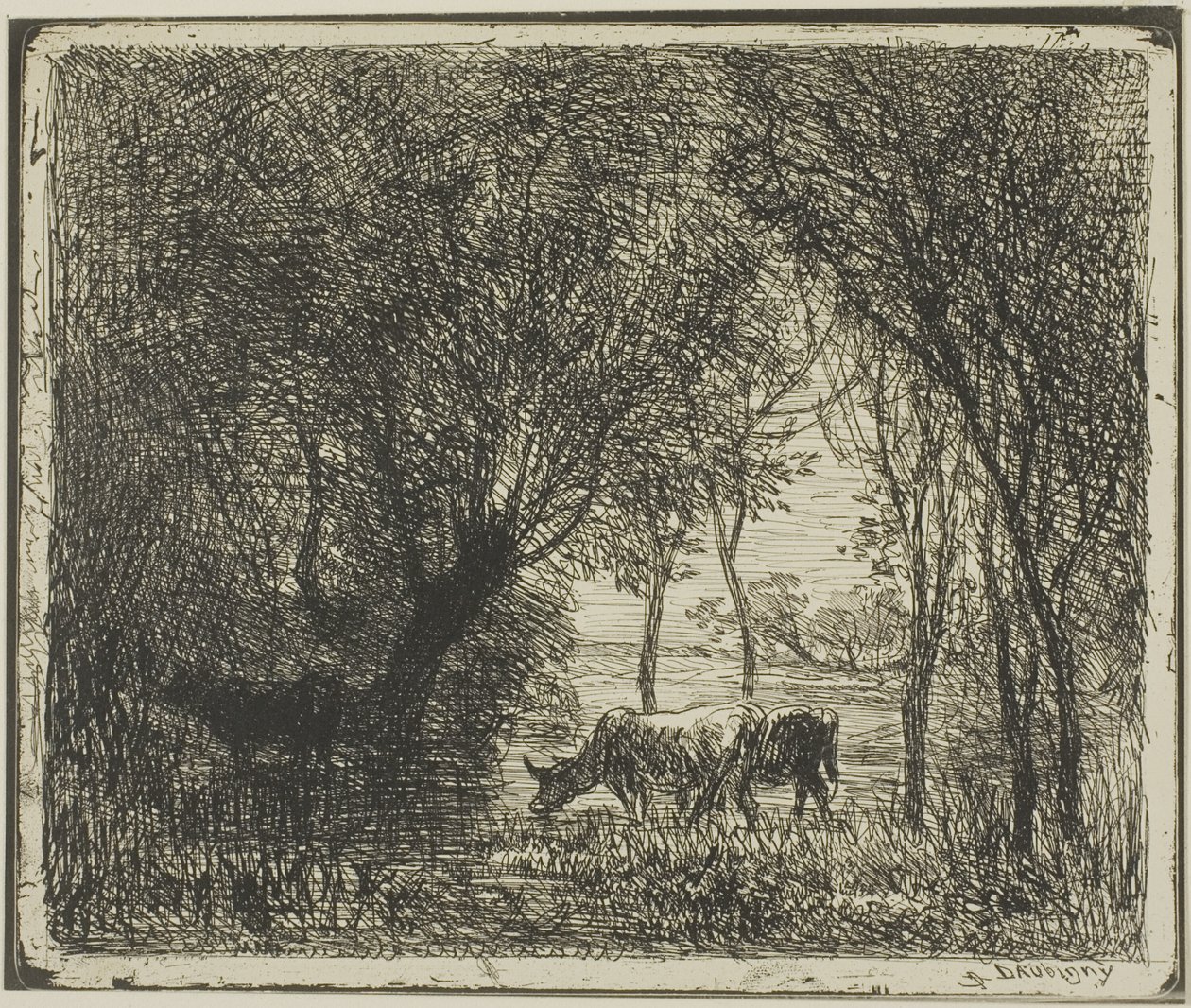 Krávy v lese od Charles Francois Daubigny