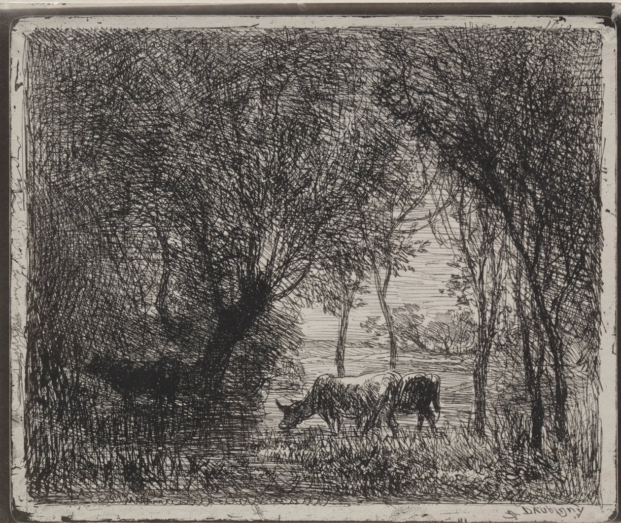 Krávy v lese, původní otisk 1862, vytištěno v roce 1921. od Charles Francois Daubigny