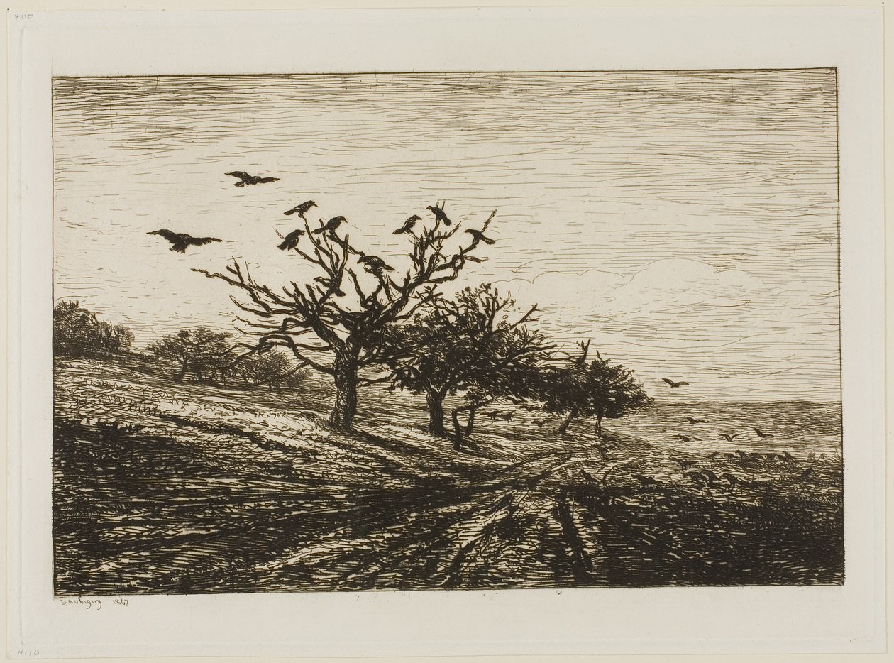 Vrány na stromě od Charles Francois Daubigny
