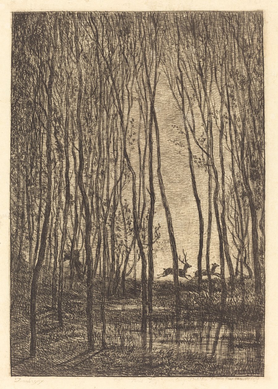 Jelen v lese od Charles Francois Daubigny