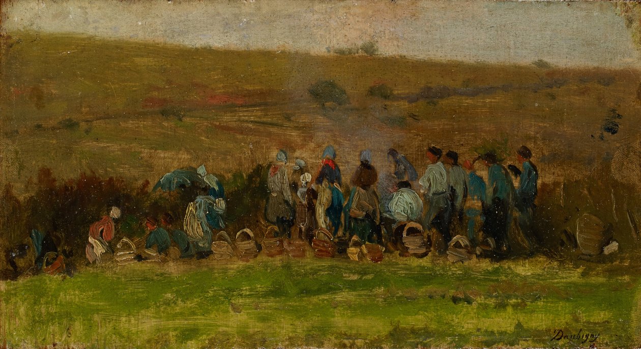 Farmáři sklízí brambory (olej na dubu) od Charles Francois Daubigny