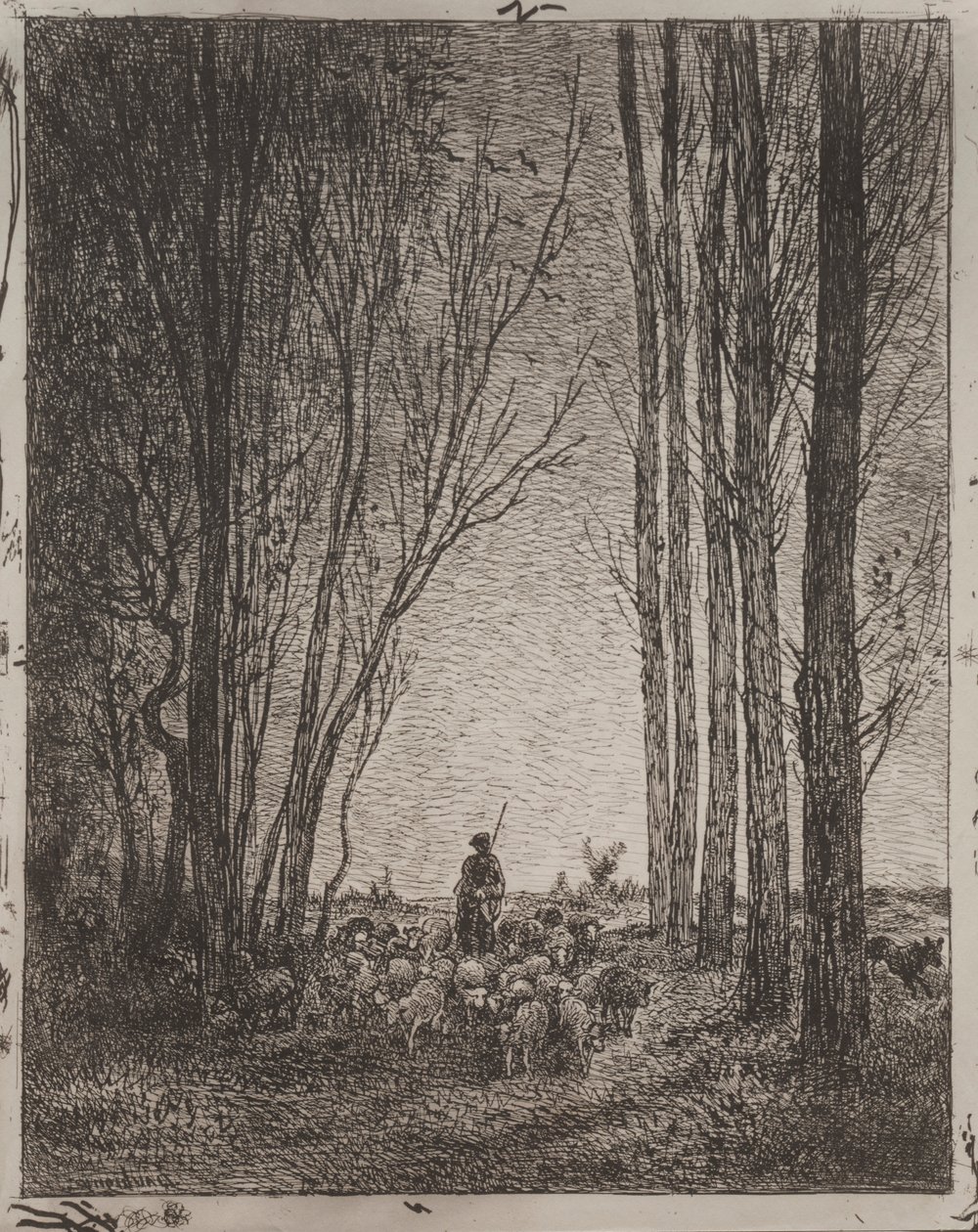 Gathering in the Flock, původní otisk 1862, vytištěno v roce 1921. od Charles Francois Daubigny