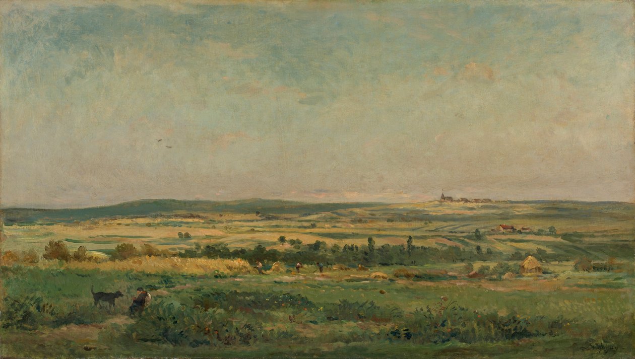 sklizeň obilí od Charles Francois Daubigny