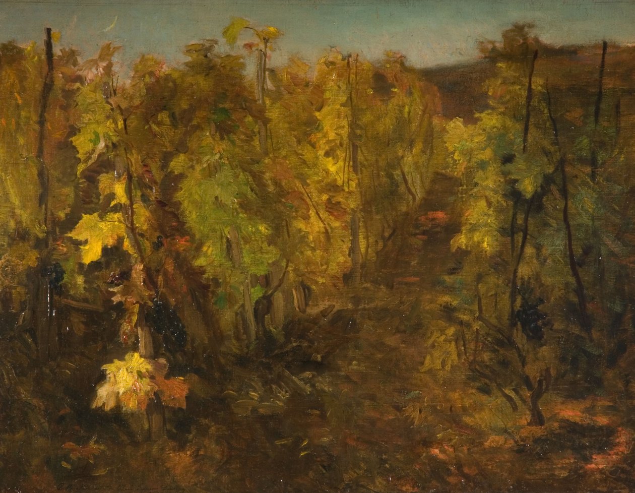 Vinná réva, 1860-1863 od Charles Francois Daubigny