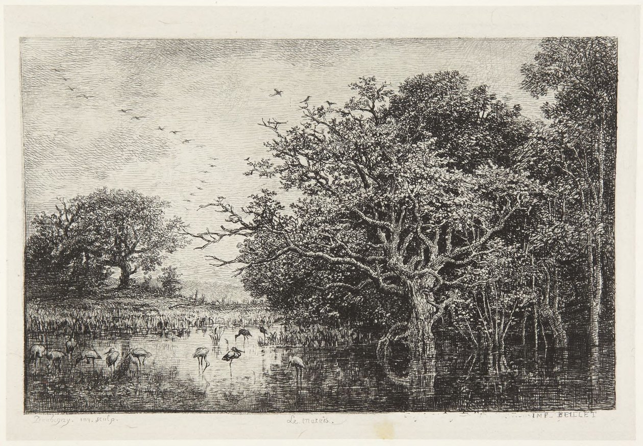 Bažina s čápy od Charles Francois Daubigny
