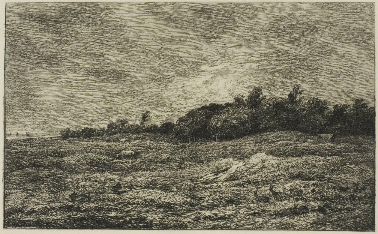 Pre des Graves ve Villerville (Calvados) od Charles Francois Daubigny