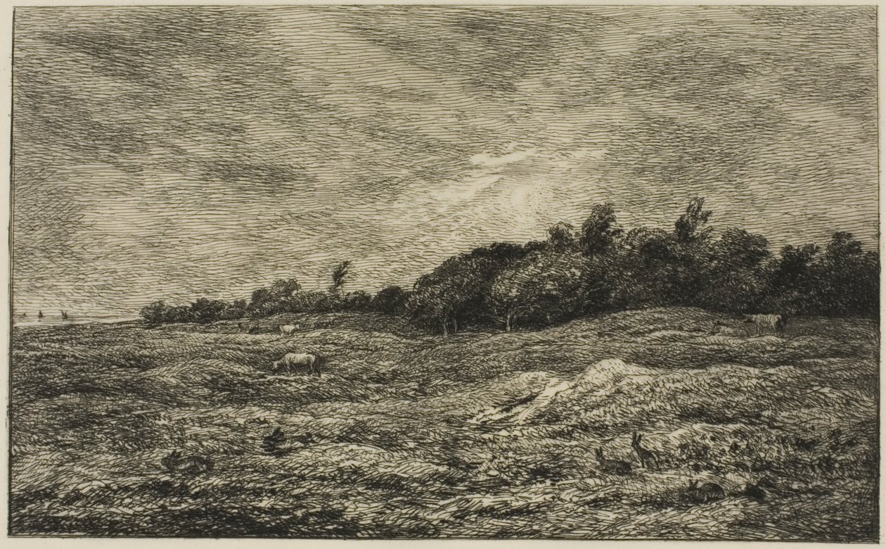 Pre des Graves ve Villerville (Calvados) od Charles Francois Daubigny