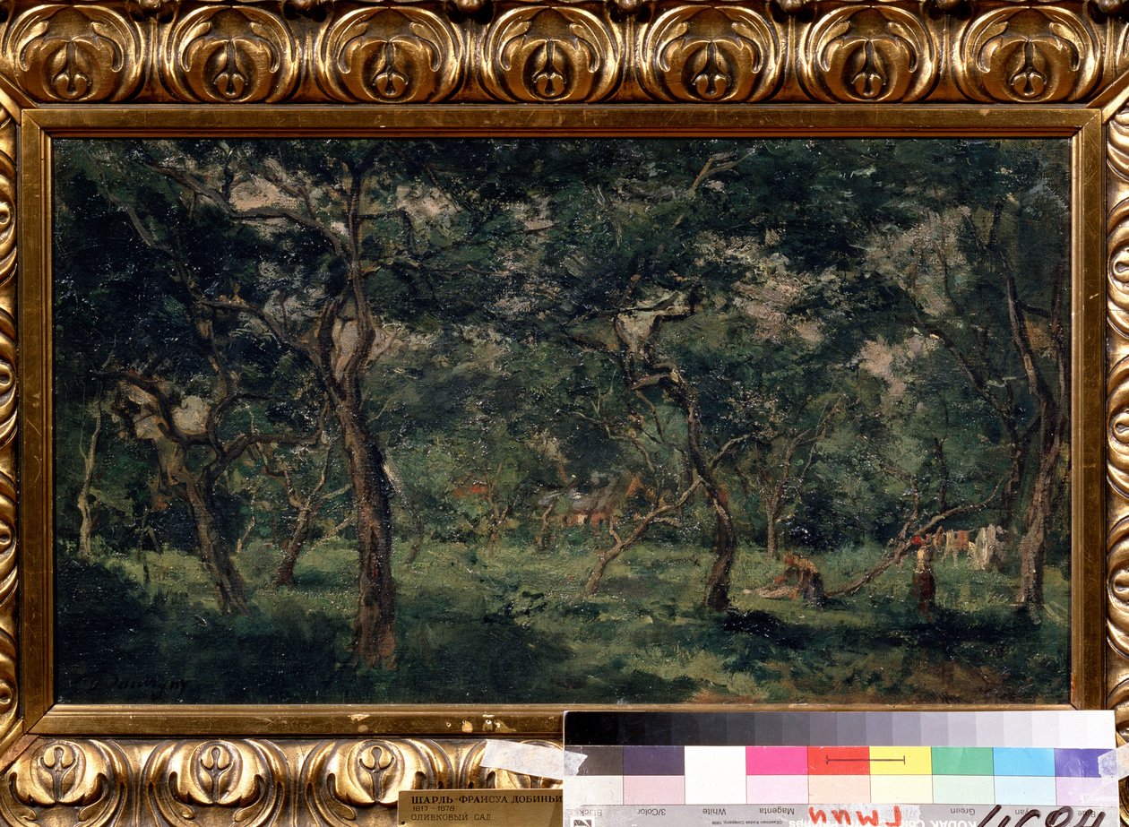 "Olivový háj"" (Olivový sad) Malba Charlese Francoise Daubignyho (1817-1878) 1870-1873 Puškinovo muzeum, Moskva od Charles Francois Daubigny