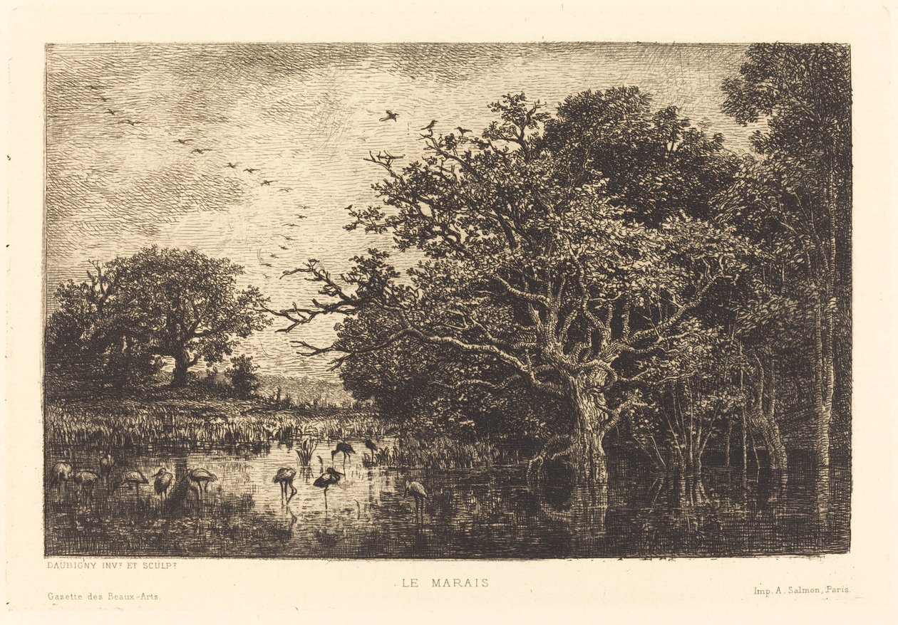 Bažina od Charles Francois Daubigny
