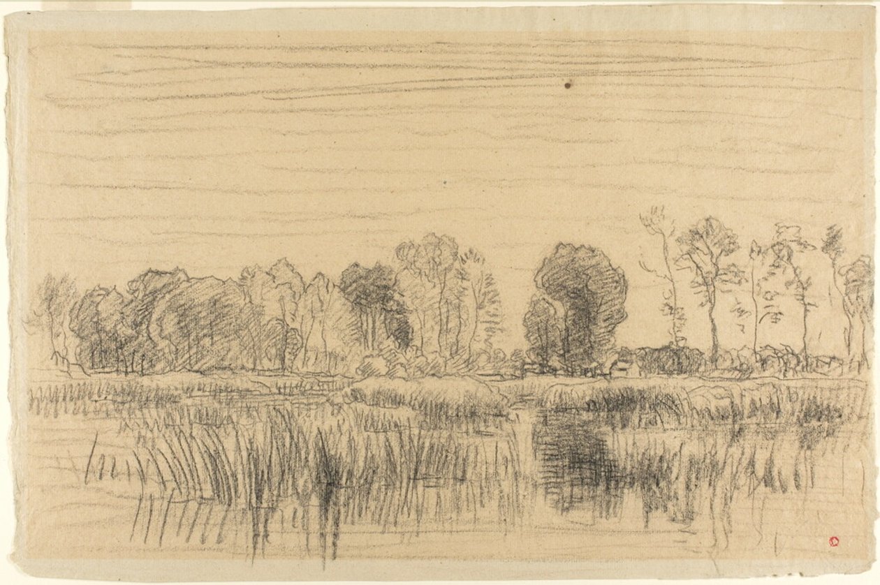 Bažina a zástěna stromů od Charles Francois Daubigny