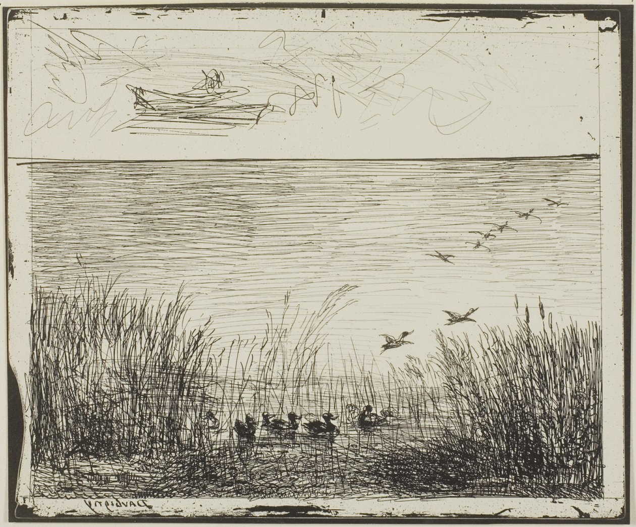 Marsh s kachnami od Charles Francois Daubigny