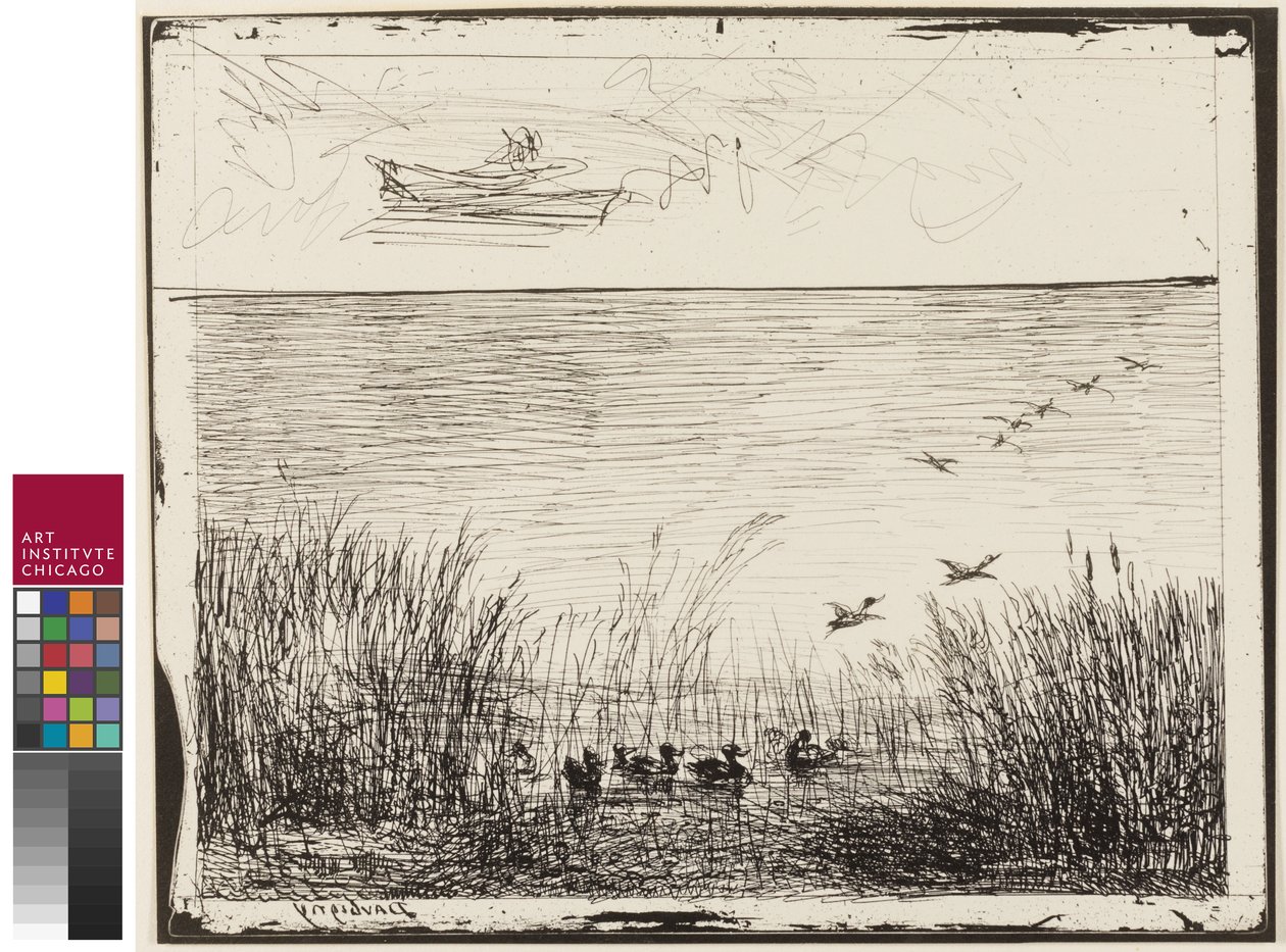 Bažina s kachnami, 1862 od Charles Francois Daubigny