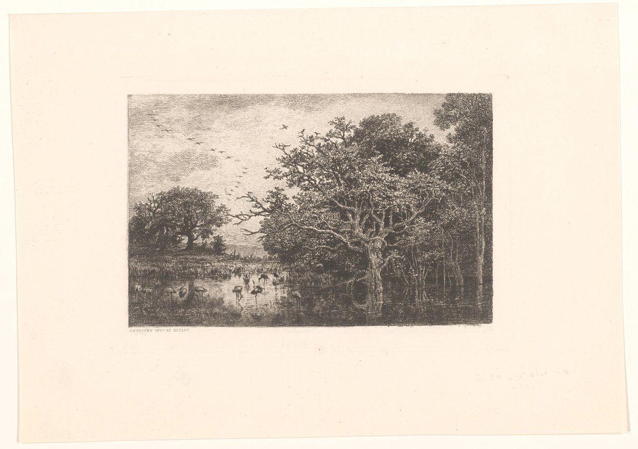 Moeras se setkal s ooievaars Čapí bažina od Charles Francois Daubigny