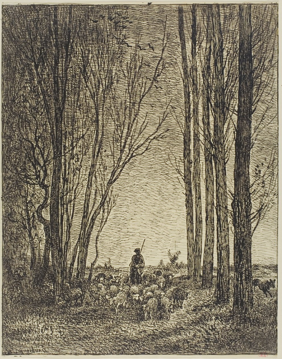 Návrat Hejna od Charles Francois Daubigny