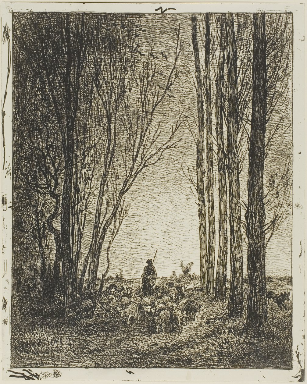 Návrat Hejna od Charles Francois Daubigny