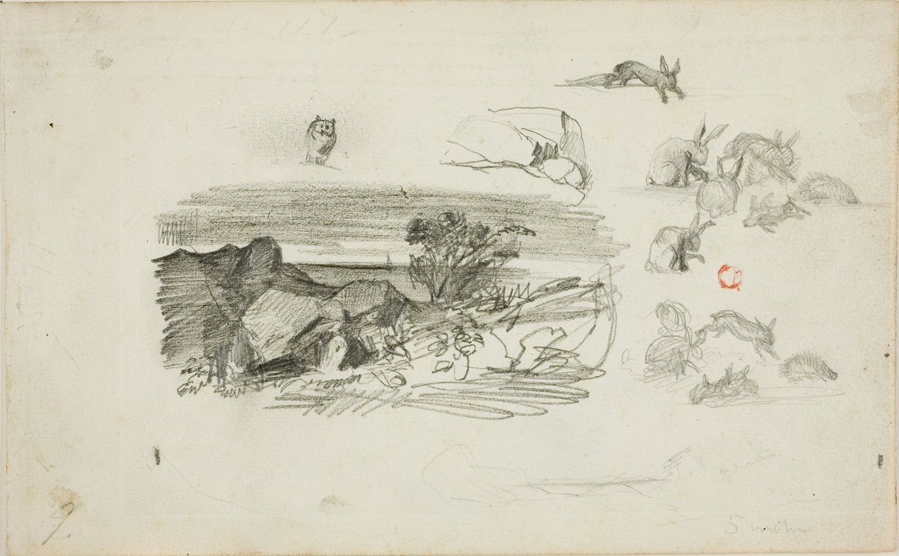 Náčrtky: Skalnaté prostředí a králíci od Charles Francois Daubigny