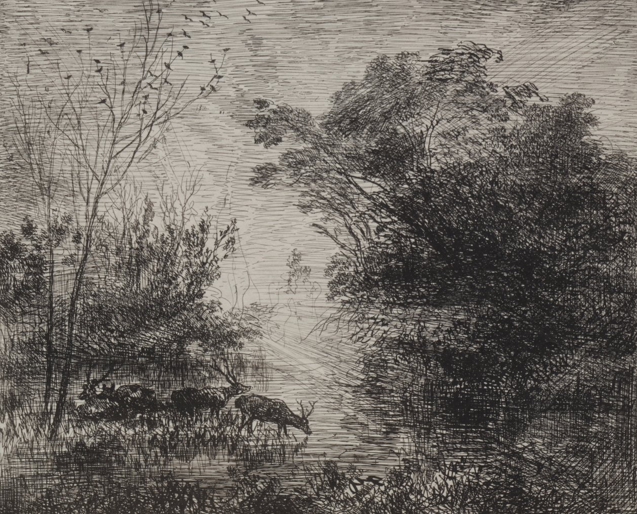 Jeleni od Charles Francois Daubigny