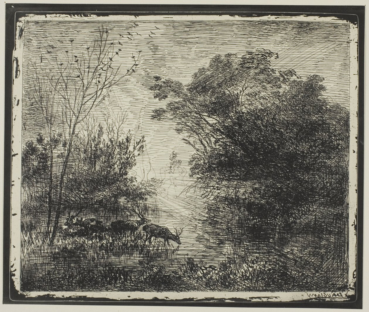 Jeleni od Charles Francois Daubigny