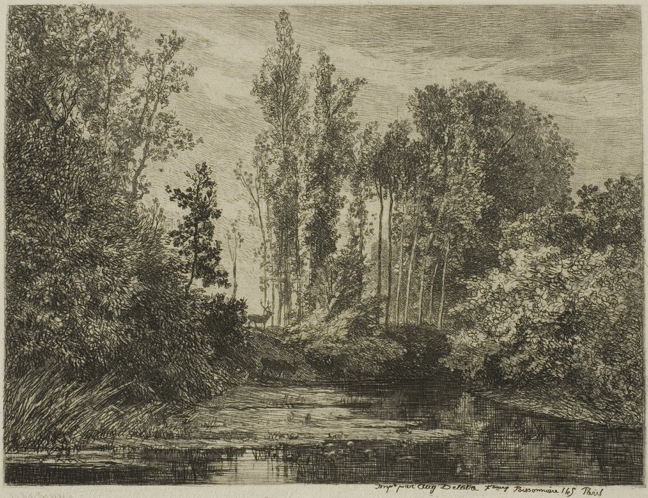 Jeleni u vody od Charles Francois Daubigny