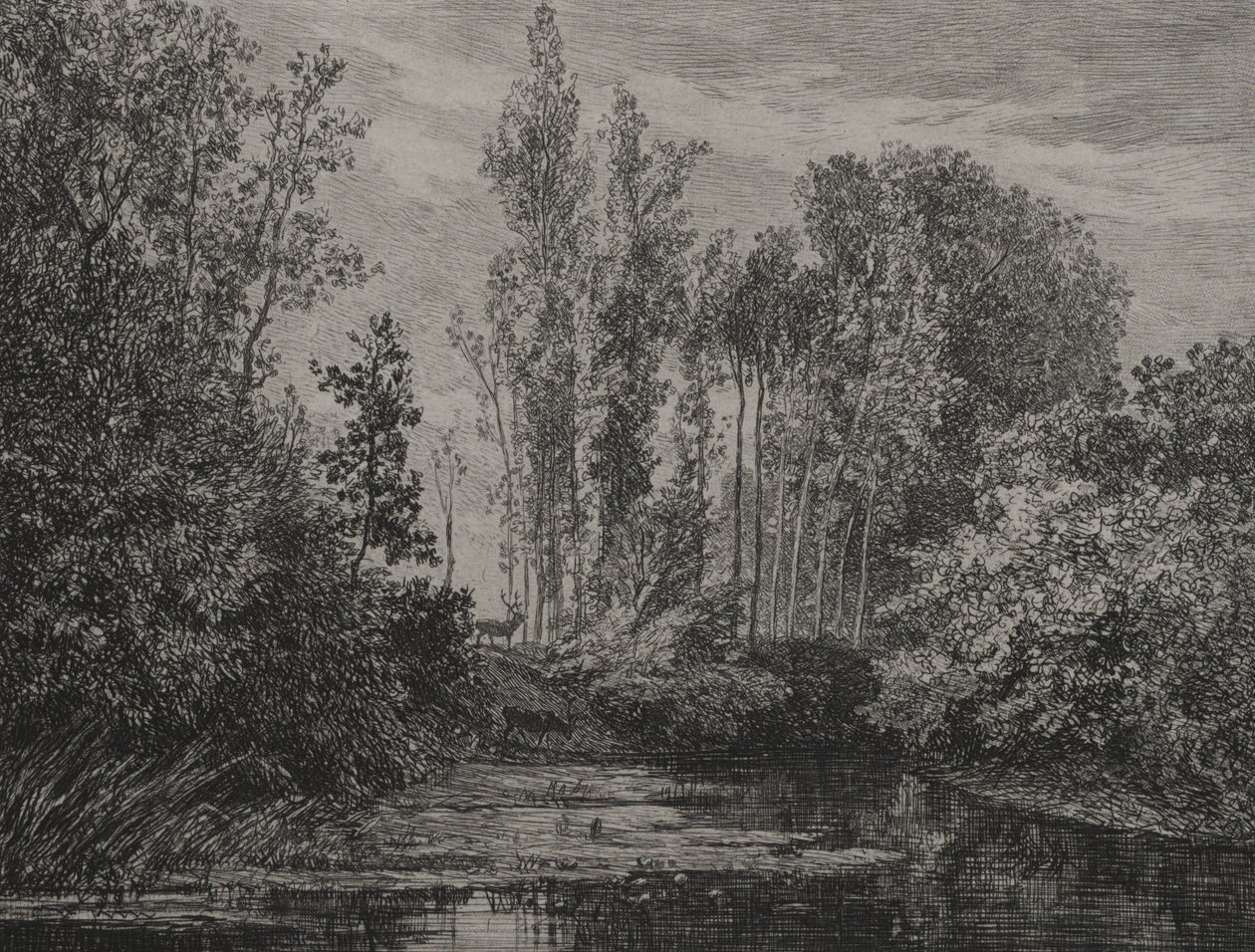 Jeleni na okraji vody od Charles Francois Daubigny