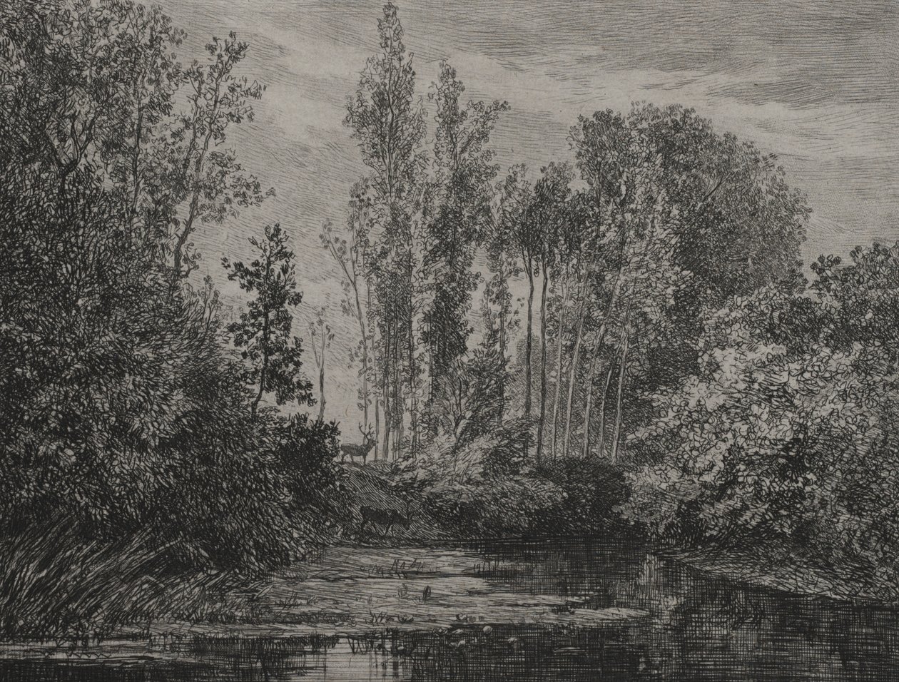 Jeleni na okraji vody, 1850. od Charles Francois Daubigny