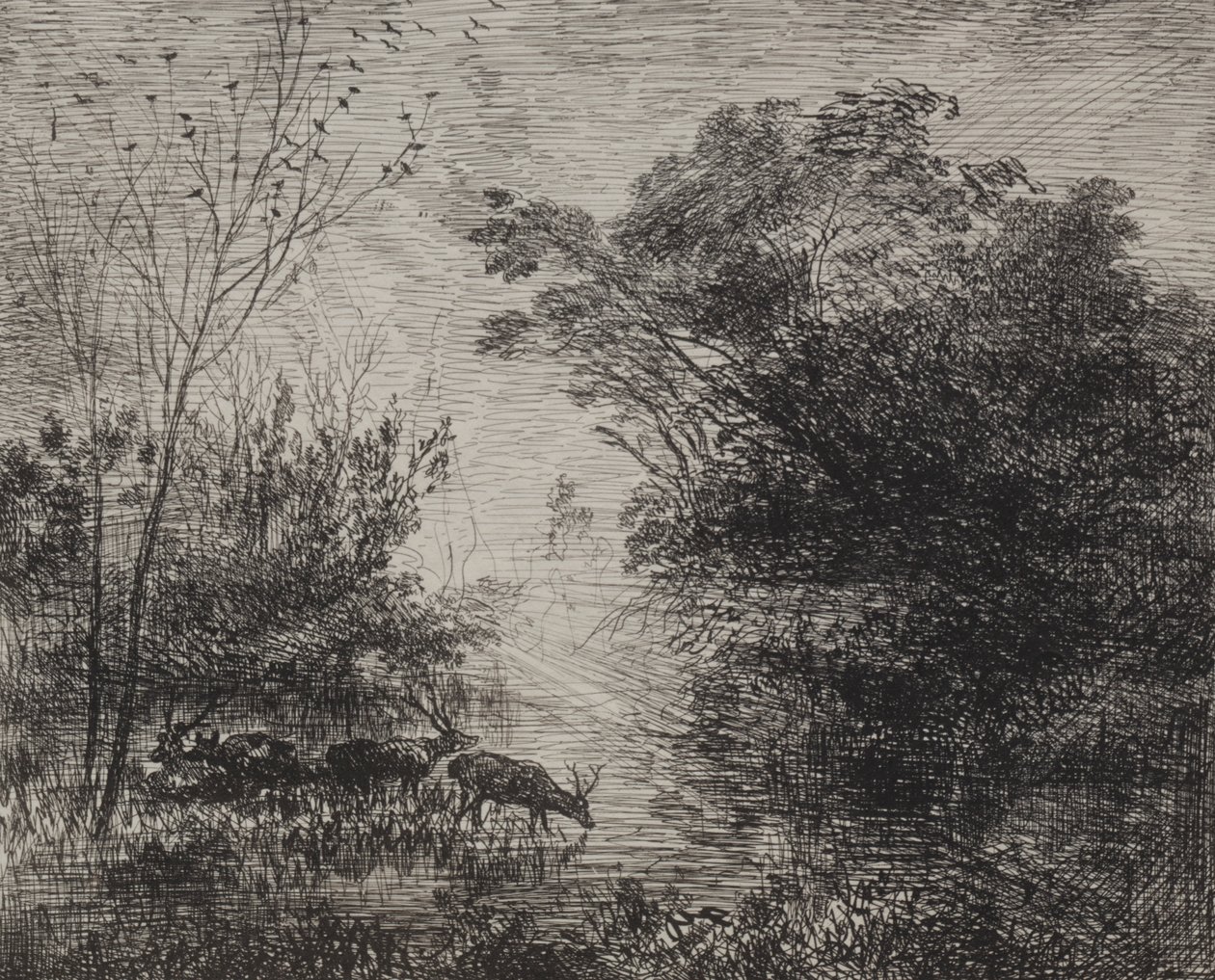 Jeleni, původní otisk 1862, vytištěno 1921. od Charles Francois Daubigny