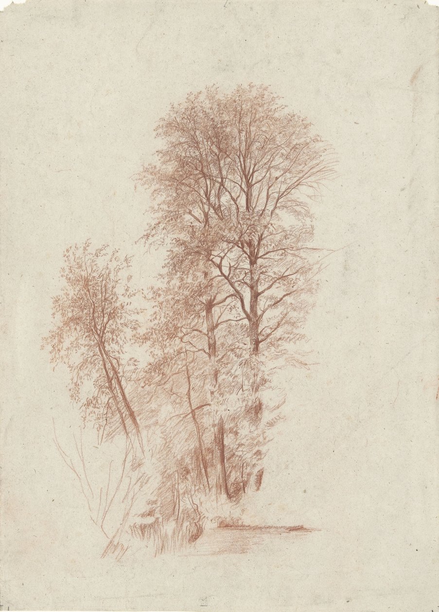 Studie dvou štíhlých a několika menších stromů v listech od Charles Francois Daubigny