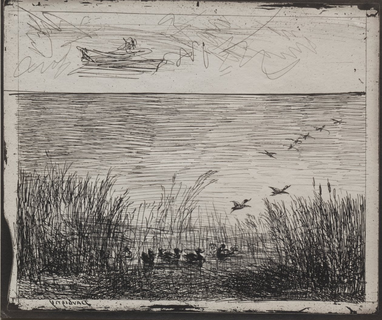 Bažina s kachnami od Charles Francois Daubigny