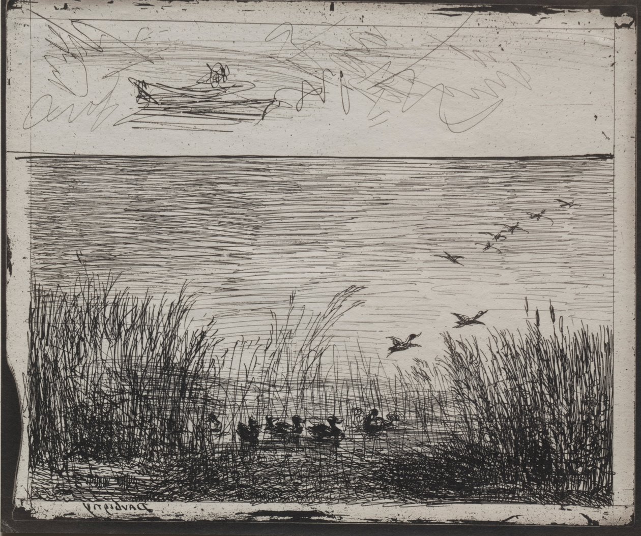 Swamp with Ducks, původní otisk 1862, vytištěno v roce 1921. od Charles Francois Daubigny