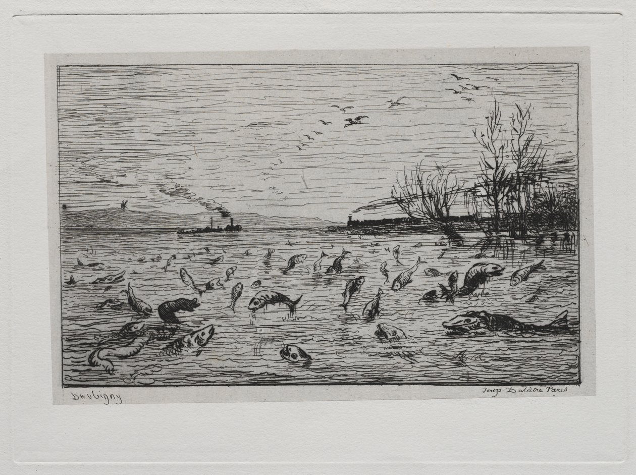 Výlet lodí: Radost z ryb při odjezdu kajutníka (The Fish) od Charles Francois Daubigny